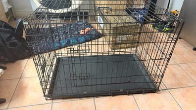dog cage