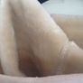 Sheepskin effect Image 4