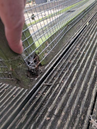 Vegetable & Fruit Cage