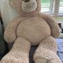 teddy Image 3