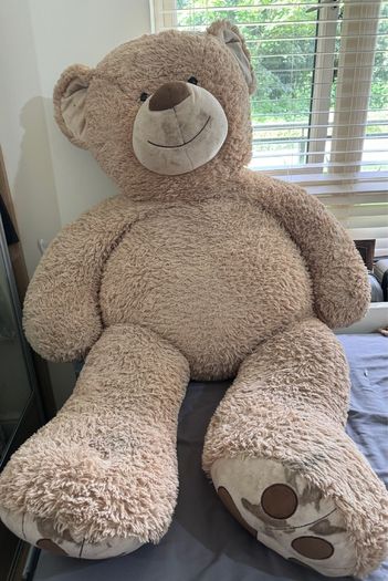 teddy