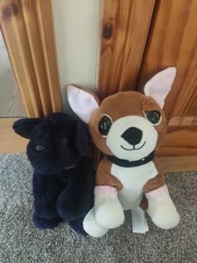 Bundle of 2 Soft Toy Dogs Keel Toys and Primark Plushies