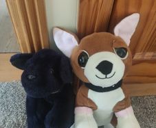 Bundle of 2 Soft Toy Dogs Keel Toys and Primark Plushies