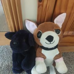 Bundle of 2 Soft Toy Dogs Keel Toys and Primark Plushies