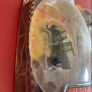 hasbro micro machines Indiana jones Image 6