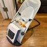 Baby Bjorn Bouncer with Toy Bar and Spare Cover Image 2