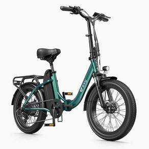 DYU C9 Folding Electric Bike