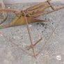 vintage plough Image 3