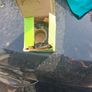 SACHS DMF Modul XTend 2289 000 280 Clutch kit Image 2