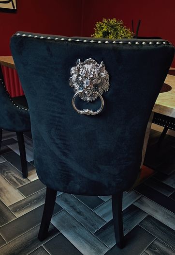 kitchen/dinning chairs