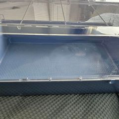 Dwarf hamster cage/tank