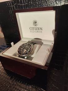 citizen diver