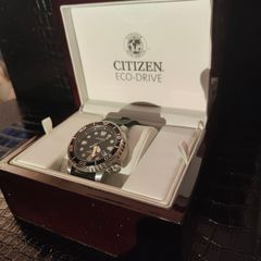 citizen diver