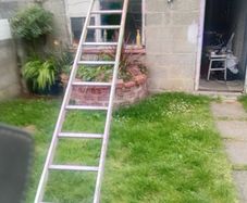 ladder