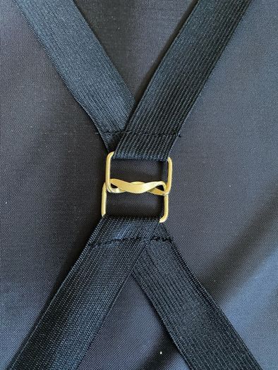 Portfolio carry bag