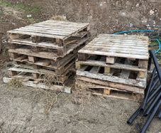 timber pallets