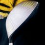 Nike TW Vapour Driver Ltd edition Image 10