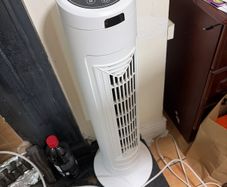 fan