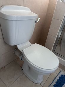Toilet and sink with pedestal