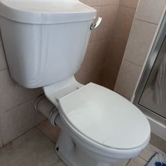 Toilet and sink with pedestal