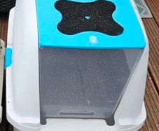 cat litter box