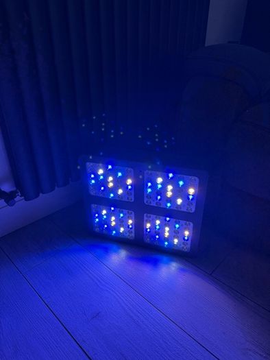 High power led light