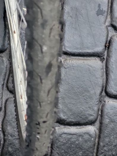 Ladies Bike single speed No Messy Gears