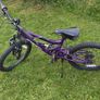 bicycle Image 5