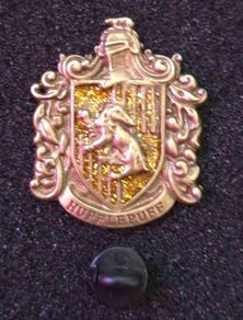 Harry Potter,  hufflepuff, pin back badge.