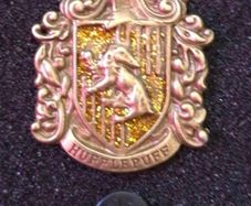 Harry Potter,  hufflepuff, pin back badge.