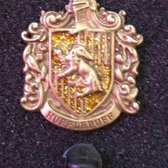 Harry Potter,  hufflepuff, pin back badge.