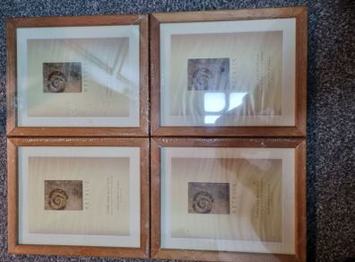 frames
