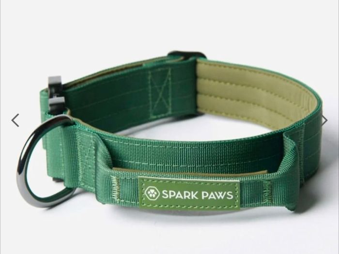 Heavy Duty Dog Collar