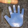 A pair of pet grooming and deshedding glove and Cigar designed toy for dogs Image 2