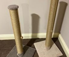 Cat Scratching Post, Scratcher
