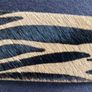 New  Hobbs  Belt Image 6