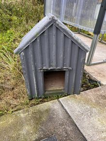 dog house free