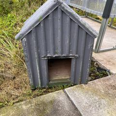 dog house free