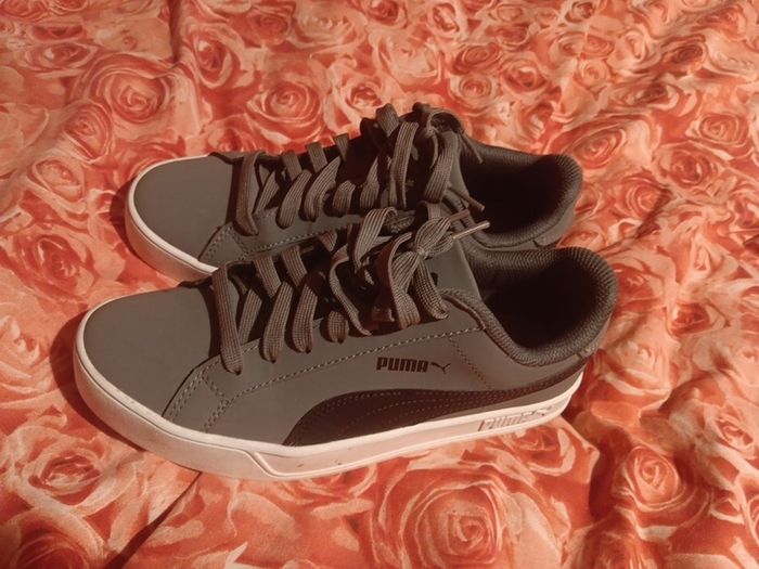 puma