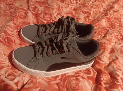 puma