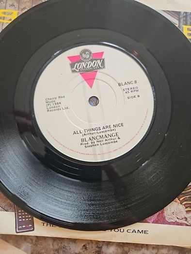 Blancmange 7" (Irish) - The Day Before You Came