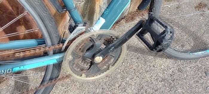 Bargin Ladies Bicycle
