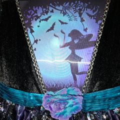 Halloween girls fairy witch dress BNWOT age 7-8 but suitable for 9yr old also