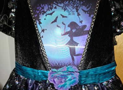 Halloween girls fairy witch dress BNWOT age 7-8 but suitable for 9yr old also