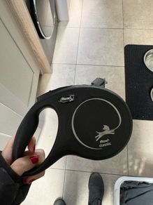 Retractable  dog lead