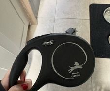 Retractable  dog lead