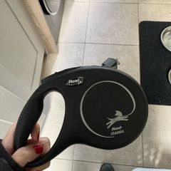 Retractable  dog lead