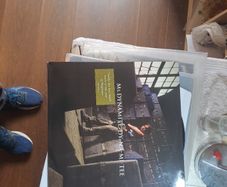 Vinyl Ms Dynamite