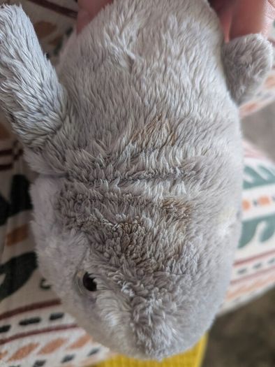 shark teddy