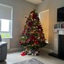 Home Gallery 8ft Washington Christmas Tree Image 3